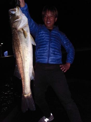 シーマジカル 釣果