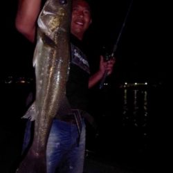 シーマジカル 釣果