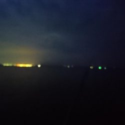 早朝短時間勝負！！