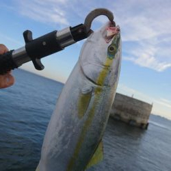 夕マズメリベンジ！！