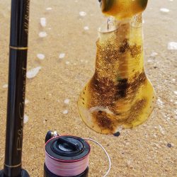 8時から1時間釣行