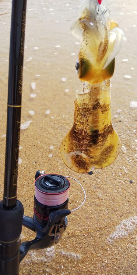 8時から1時間釣行