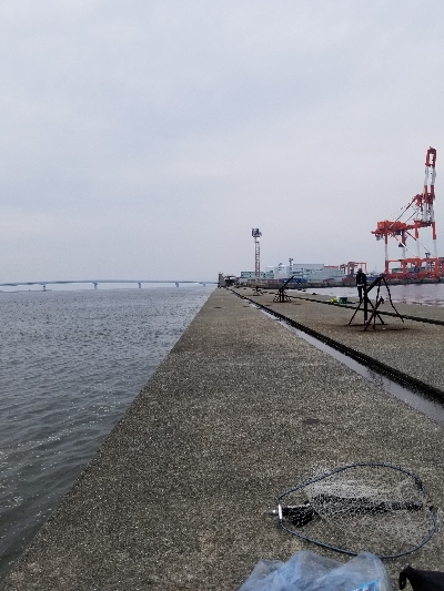 只今の太刀魚パターンの復習