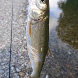 宮川下流域にて
