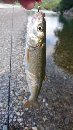 宮川下流域にて