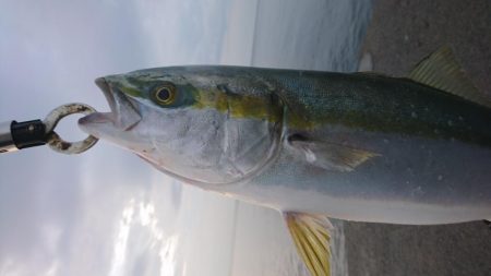 早朝短時間勝負！！