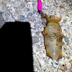 誰もいない場所