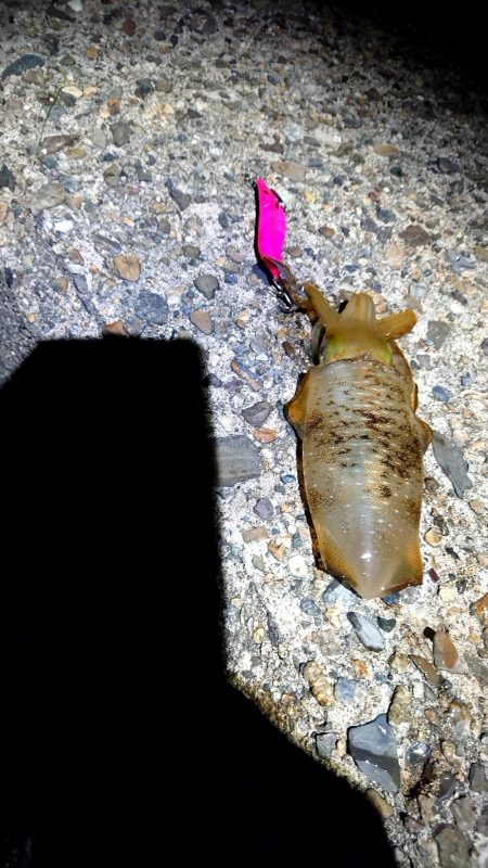 誰もいない場所