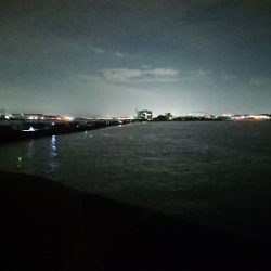 サーベルハント!