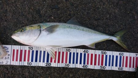 早朝短時間勝負！！