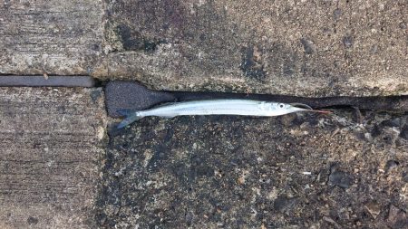 明日の大会前の最後の下見