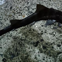 色々～＼(^-^)／