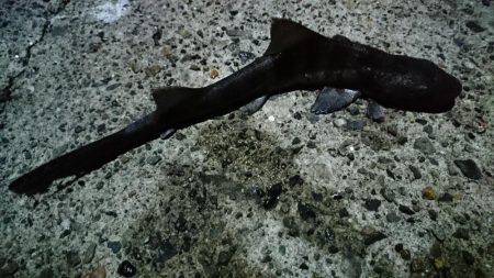 色々～＼(^-^)／