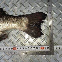 自己新記録‼️