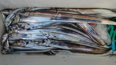 オーフリー 釣果