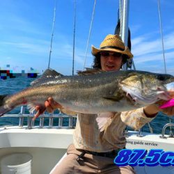 オーシャンマスター 釣果