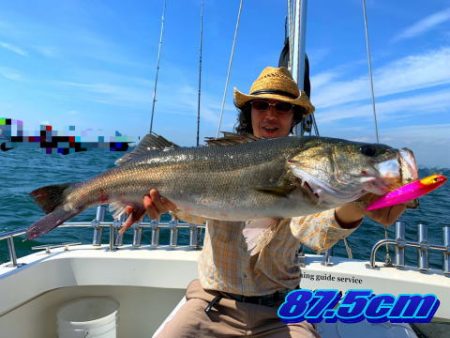 オーシャンマスター 釣果
