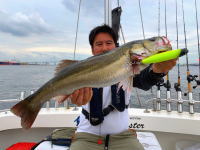 オーシャンマスター 釣果