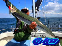 オーシャンマスター 釣果