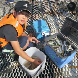 下関フィッシングパーク 釣果