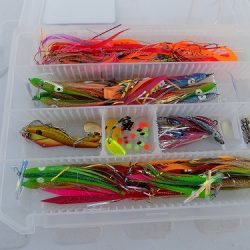 フィッシングボート空風(そらかぜ) 釣果