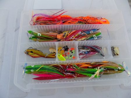 フィッシングボート空風(そらかぜ) 釣果