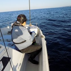 フィッシングボート空風(そらかぜ) 釣果