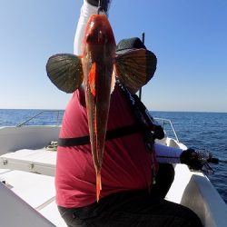 フィッシングボート空風(そらかぜ) 釣果