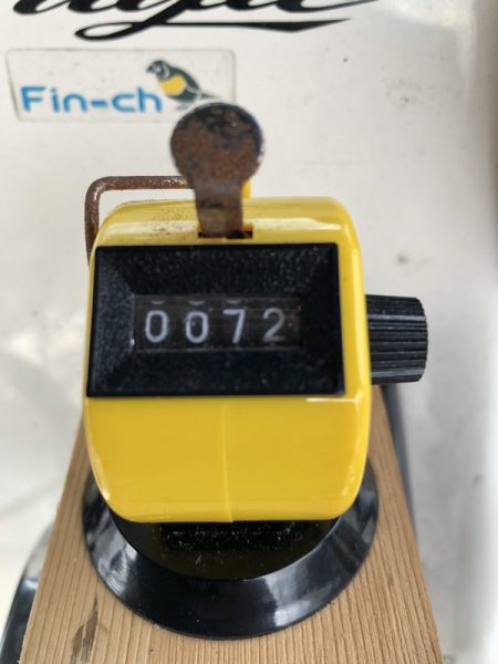 Magic(マジック) 釣果