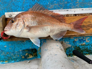 幸吉丸 釣果