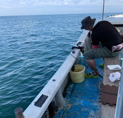 幸吉丸 釣果