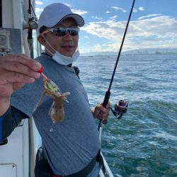 さんさん丸 釣果