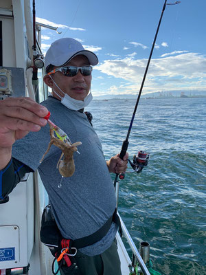 さんさん丸 釣果