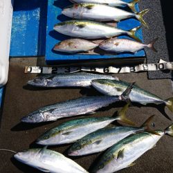 清和丸 釣果
