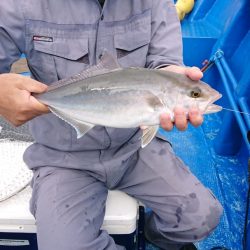 清和丸 釣果