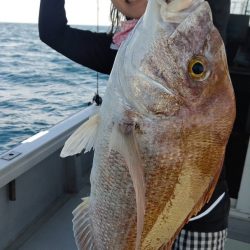 タイラバ遊漁船 ワンピース 釣果