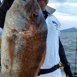 タイラバ遊漁船 ワンピース 釣果