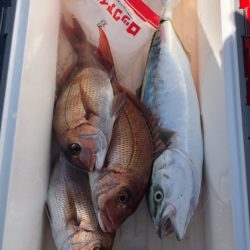 第二八坂丸 釣果