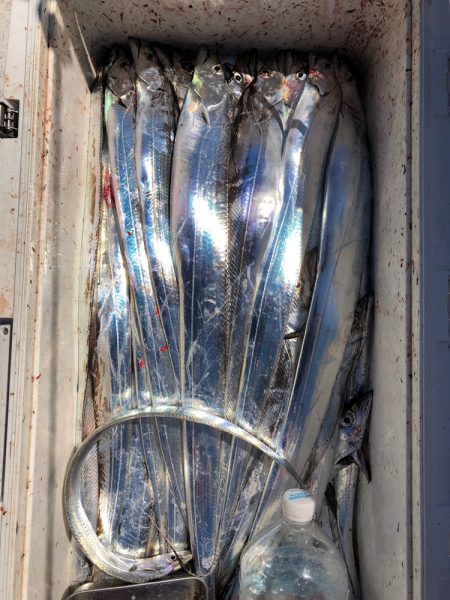 フィッシング　キッタカ 釣果