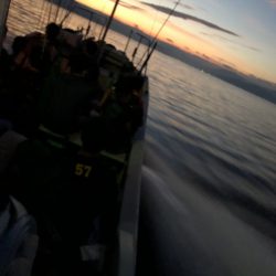 あみや渡船 釣果