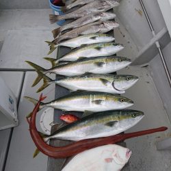 エンペラー 釣果