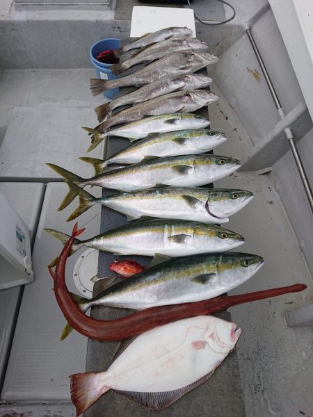 エンペラー 釣果