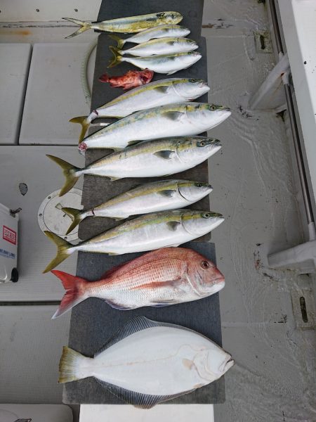 エンペラー 釣果