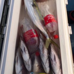 第二八坂丸 釣果