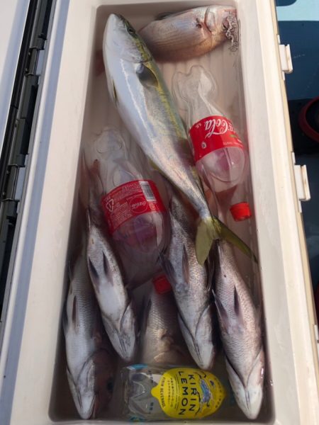 第二八坂丸 釣果