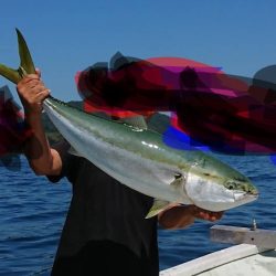 FISHING RISKY 釣果