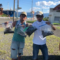 あみや渡船 釣果