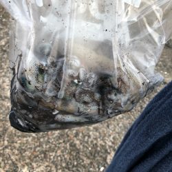 あみや渡船 釣果