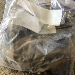 あみや渡船 釣果