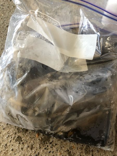 あみや渡船 釣果